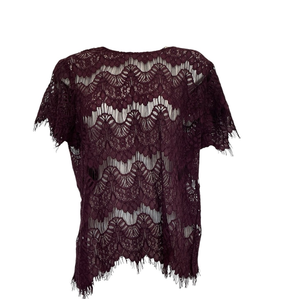 NWOT Inny Sheer Lace Short Sleeve Top 1/2 Zip Open Back  Women's Size XL